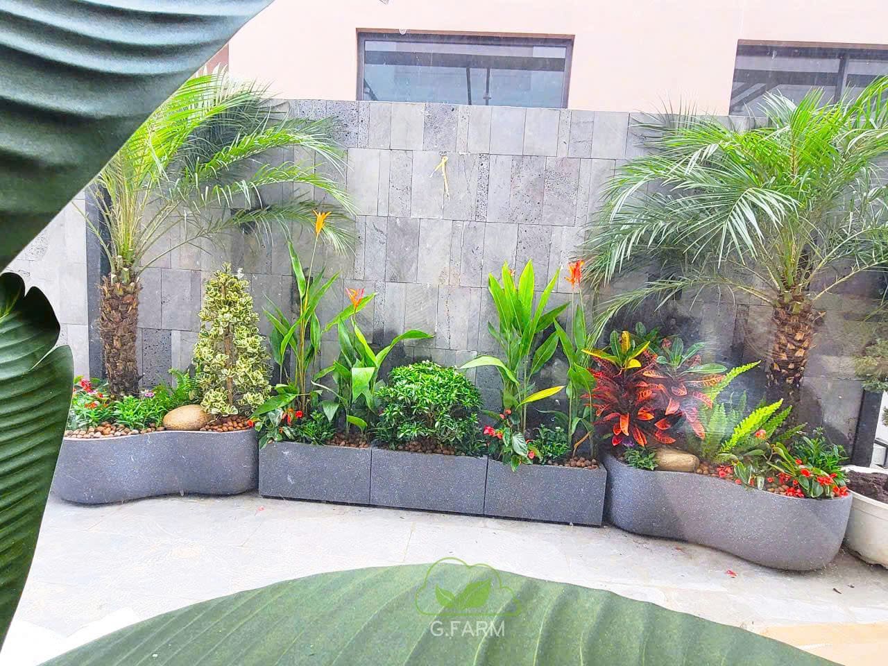 Vườn tiểu cảnh đẹp anh Tuân Ocean Park 3